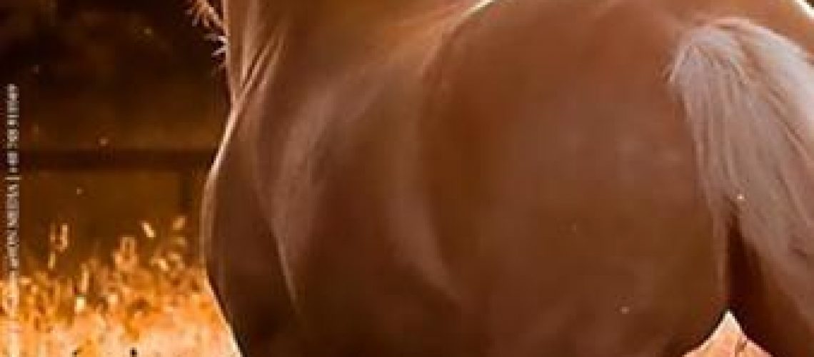 afis-tropote-in-tara-vinului